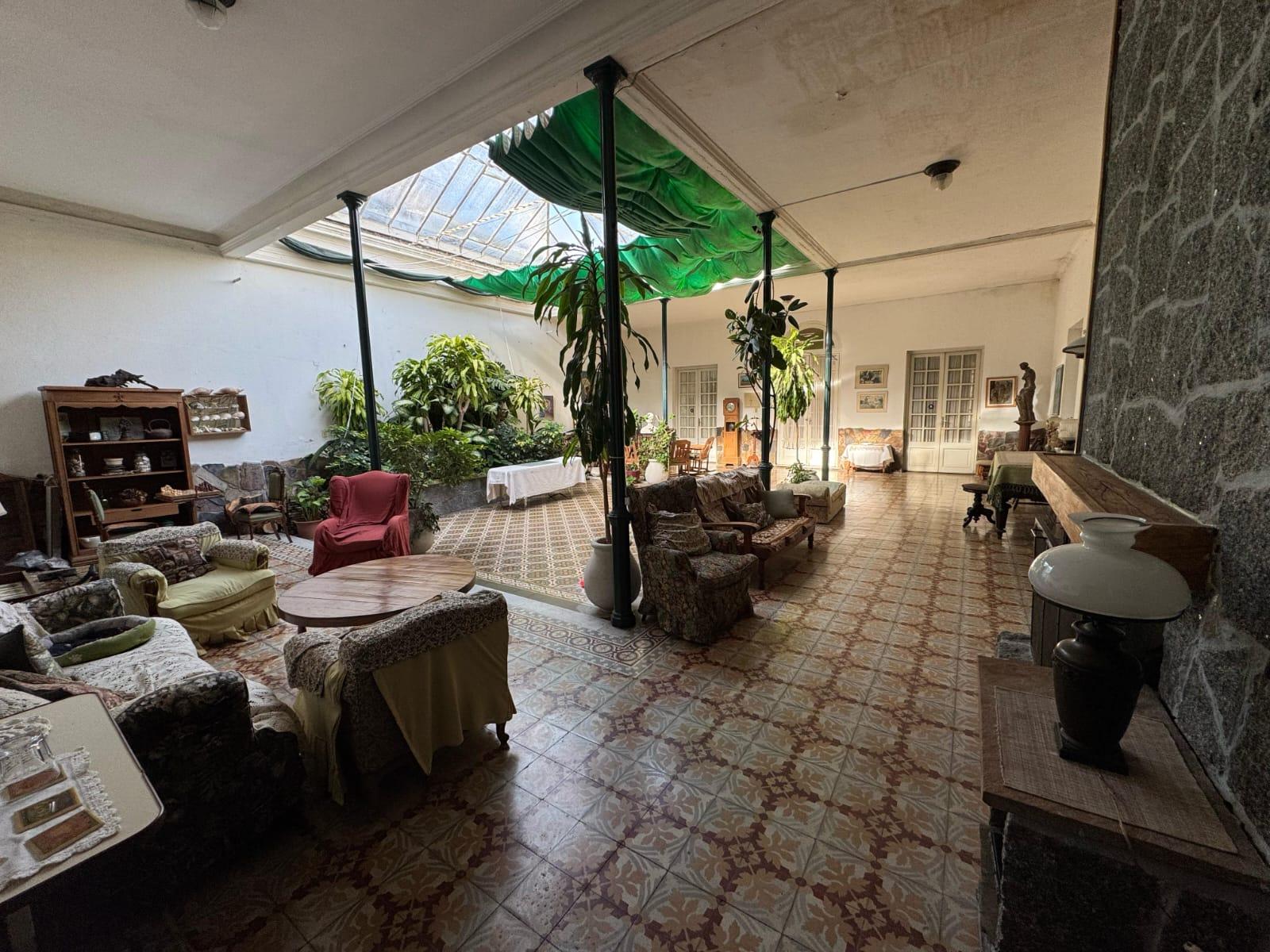 Rosas junto al patio de CasaGrande, con hamaca y reposera de fondo